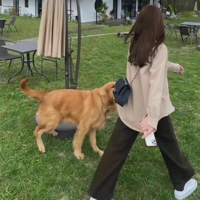 暗芝居第九季